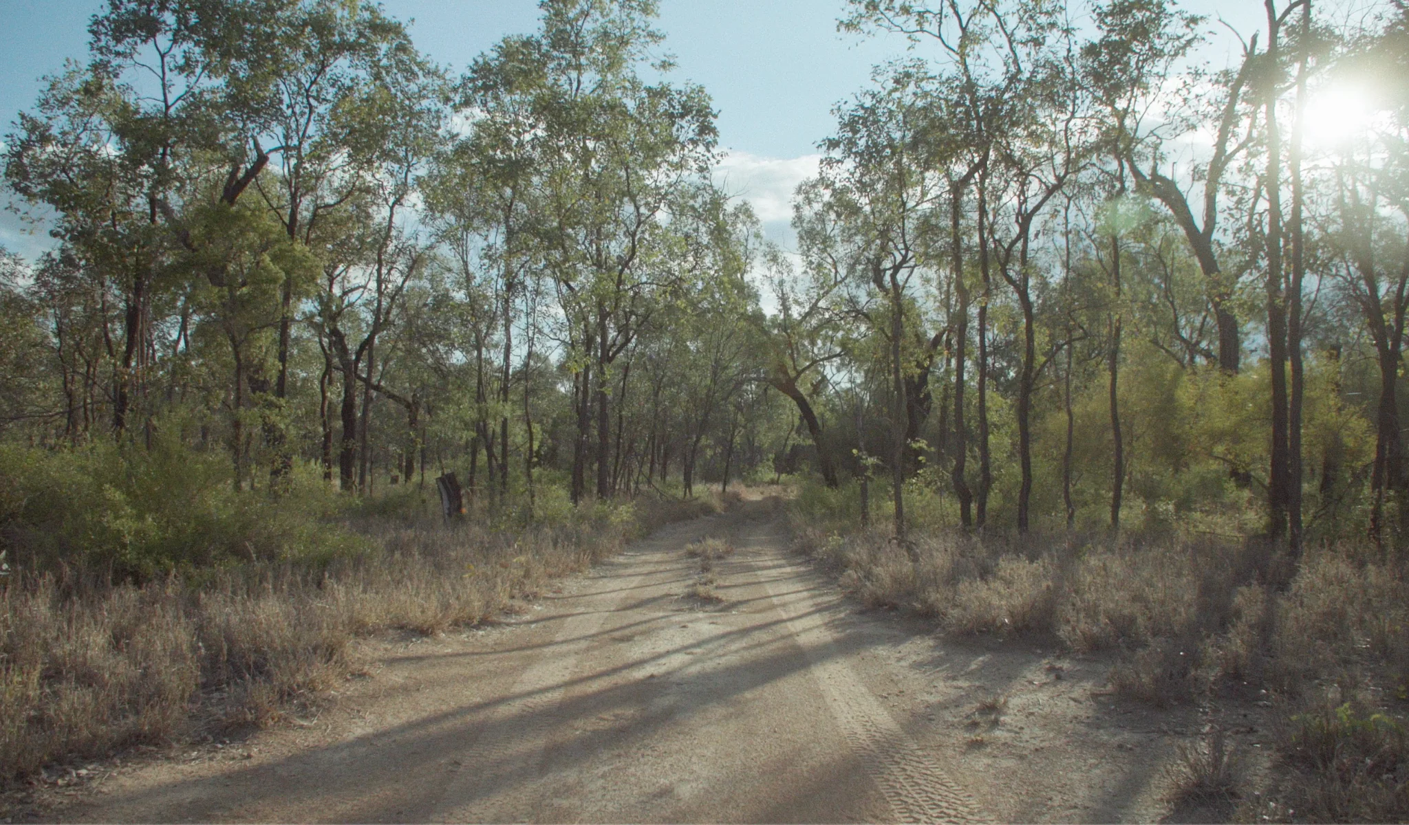 Rare Earth, Australian Soul